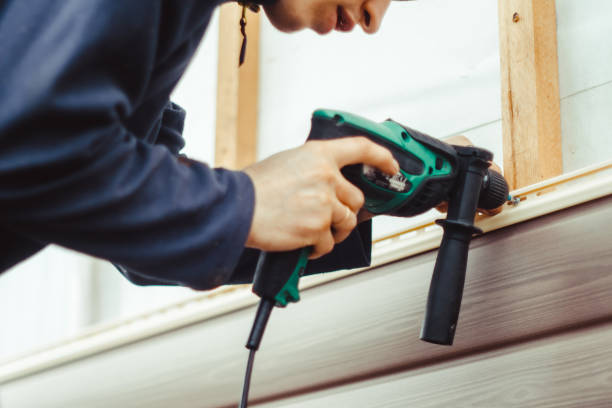 Shed Removal